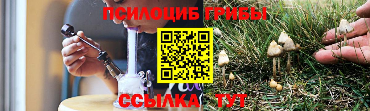 Галлюциногенные грибы Psilocybine cubensis  Псилоцибиновые грибы ЛСД  Городец  Вход с VPN 
