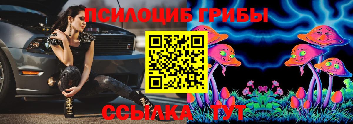 Галлюциногенные грибы ЛСД Городец